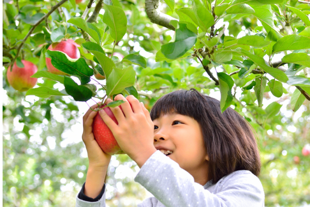 Does An Apple a Day Really Keeps the Doctor Away? Read what researchers say!