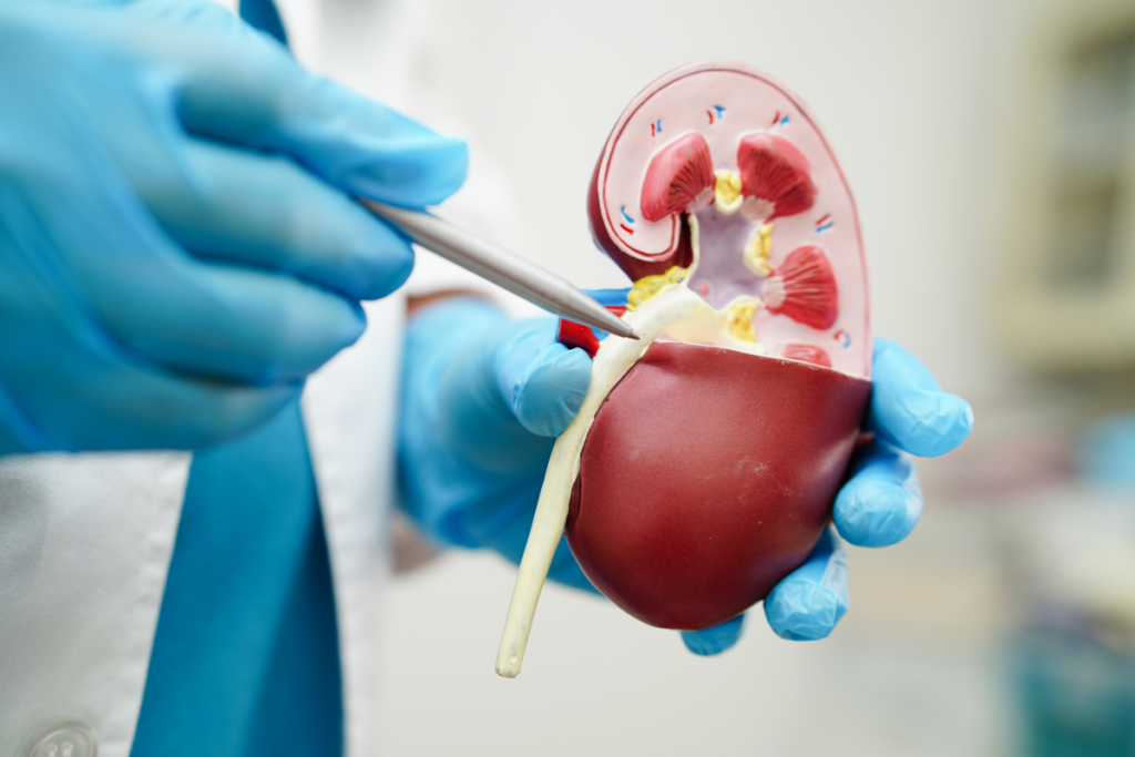 Common urological disorders