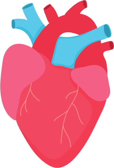 Cardiology