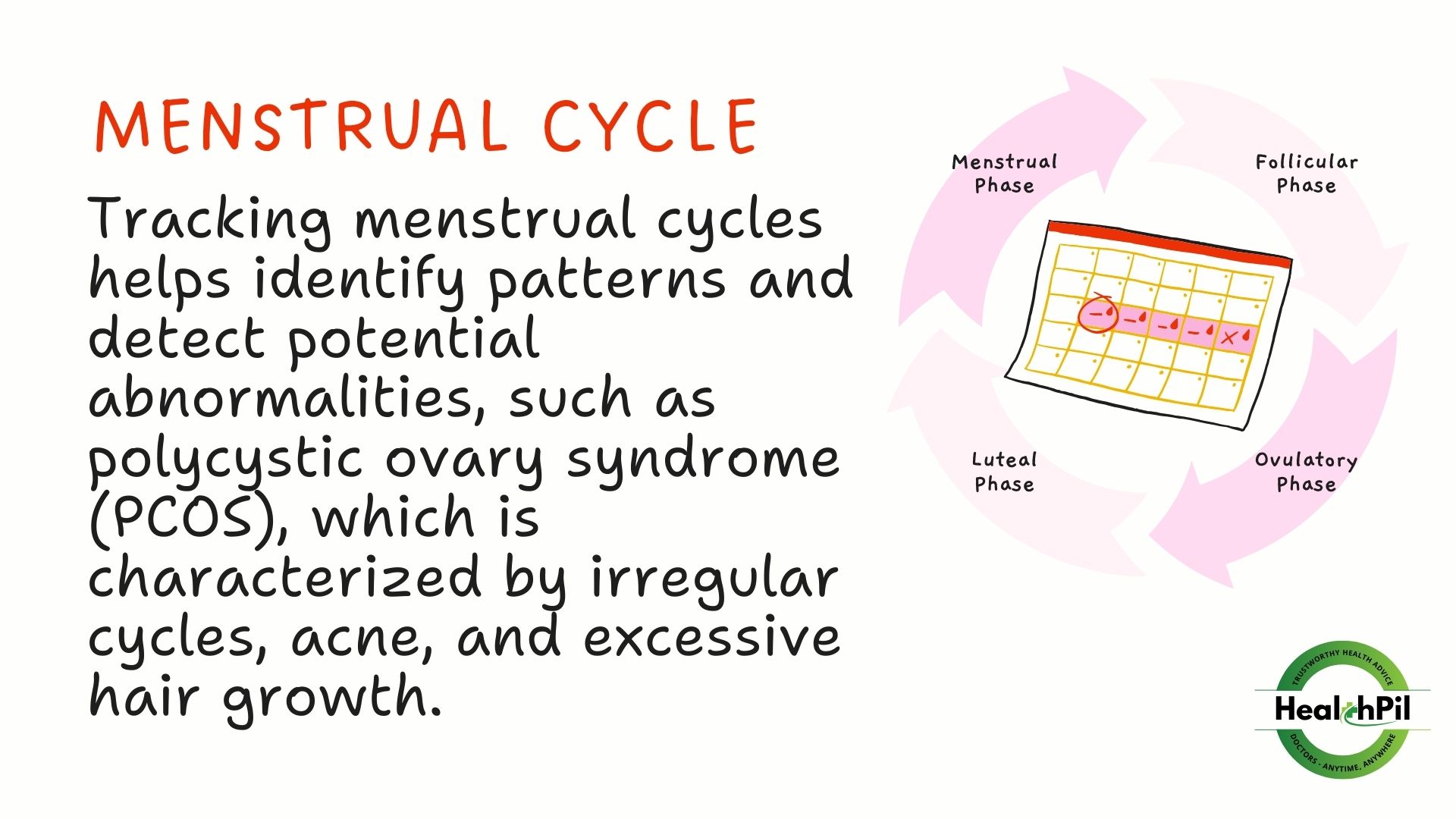 Menstrual Cycle