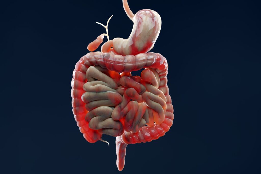 रोज़ एंटासिड लेने से आपका पेट और बिगड़ सकता है! जानिए Peptic Ulcer का असली इलाज!