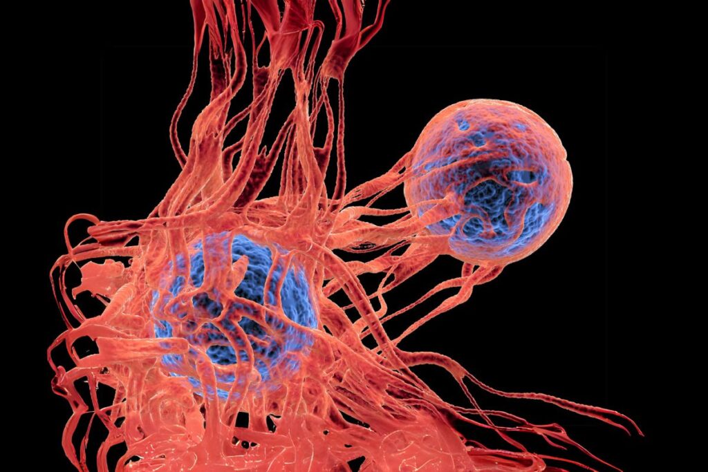Autophagy in Cancer: The Science, Myths, and What You Need to Know