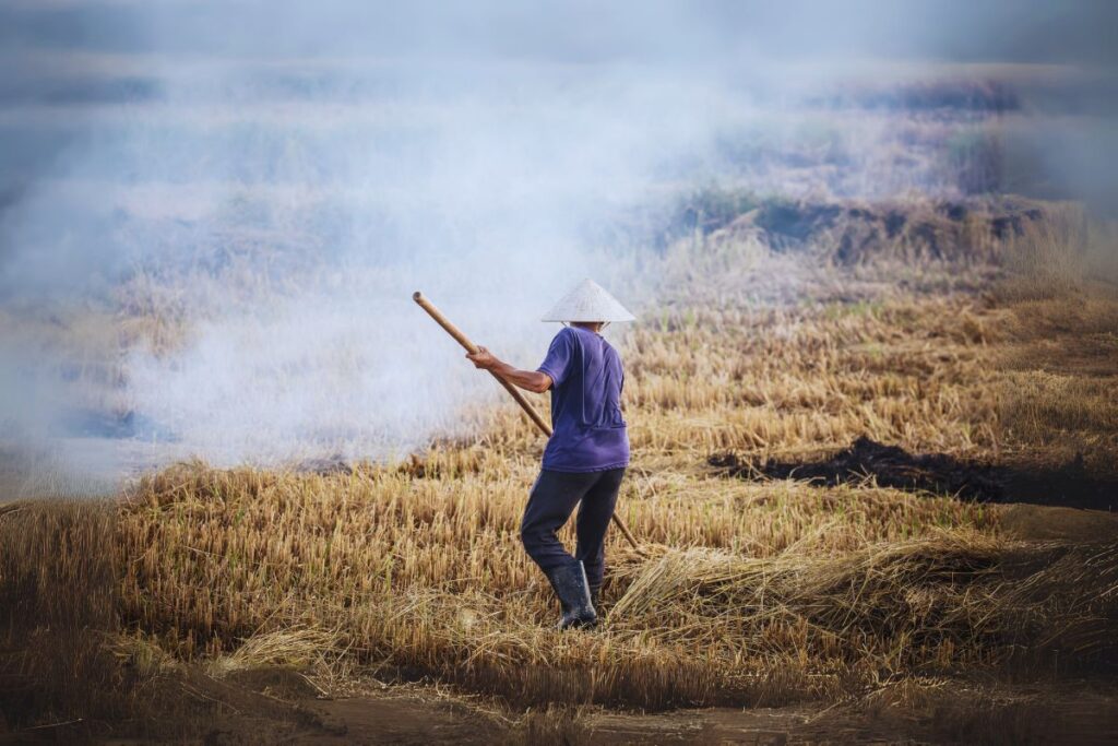 Crop Burning: A Silent Threat to Your Health! Here’s What You Need to Know!