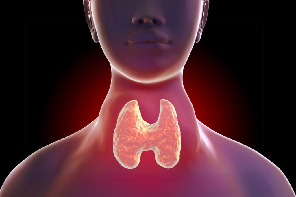 Feeling tired, having excessive weight gain or sudden weight loss? Know about these symptoms of thyroid disorders and how to manage hypo or hyperthyroidism.